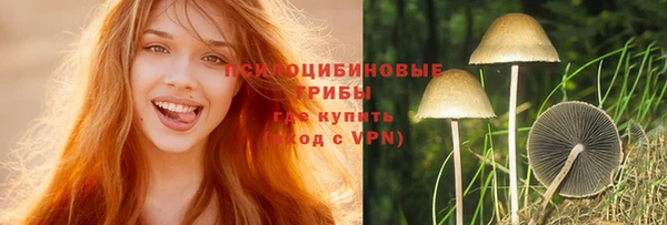apvp Алзамай