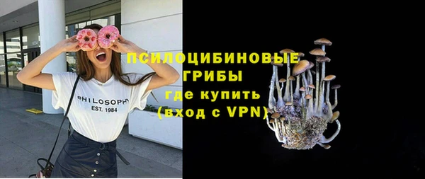 apvp Алзамай