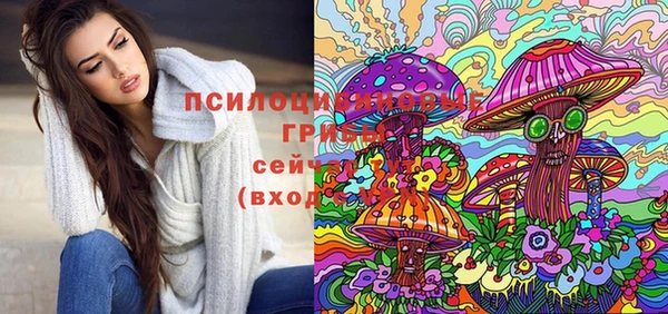 apvp Алзамай