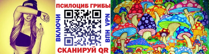 Галлюциногенные грибы мицелий Владивосток